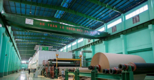 DHC: Lợi nhuận quý 2 tăng hơn gấp đôi nhờ giá giấy tích cực, biên lợi nhuận mở rộng mạnh