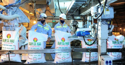 DCM: Giá bán Ure duy trì cao, lợi nhuận quý 2/2026 tăng mạnh dù mảng NPK gặp khó