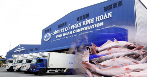 Vĩnh Hoàn: Lợi nhuận quý 2 chịu áp lực dù doanh thu tại các thị trường trọng điểm tăng trưởng tích cực