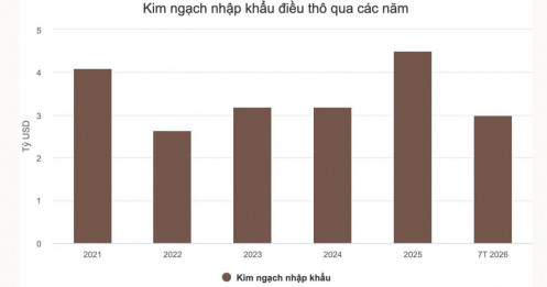 Nhập khẩu điều thô vượt 3 tỷ USD