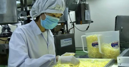 Loạt dược sĩ tại doanh nghiệp dược niêm yết bị thu hồi chứng chỉ, chuyện gì xảy ra?