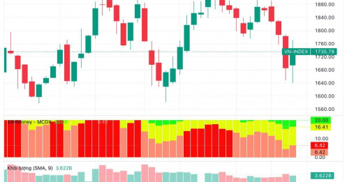 VN-Index hồi gần 50 điểm, vì sao chuyên gia vẫn khuyên cơ cấu danh mục?