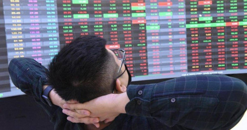 Cơ hội hiếm có trên thị trường?