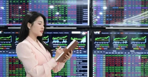 Tháng 8 sẽ là thời điểm thị trường lấy lại đà tăng?