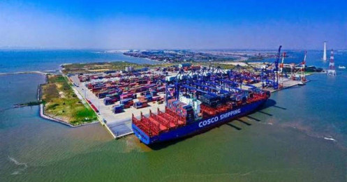 Cảng Hải Phòng ghi nhận lợi nhuận tăng vọt trong quý 2, biên lợi nhuận gộp neo ở mức cao kỷ lục