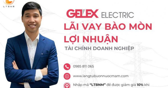 GEE : Phân tích lợi nhuận Quý 2 2026