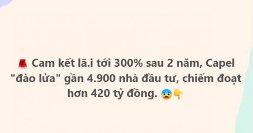 Vẽ dự án đa ngành, hứa lãi 300%: Công ty Capel bị cáo buộc chiếm đoạt hơn 420 tỷ đồng