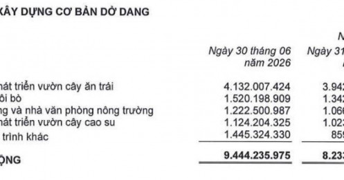 Nợ hơn 10.800 tỷ đồng, vì sao HAGL Agrico chỉ hạch toán 2,7 tỷ đồng lãi vay?