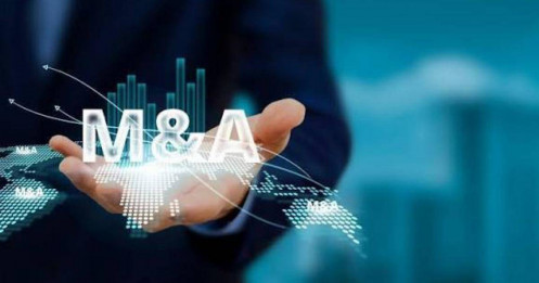 Cổ đông thiểu số phản đối thương vụ M&A: Họ có quyền gì?