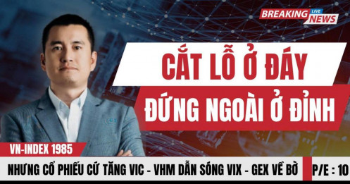 Cắt lỗ ở đáy, đứng ngoài ở đỉnh nhưng cổ phiếu cứ tăng VIC, VHM dẫn sóng VIX, GEX về bờ?