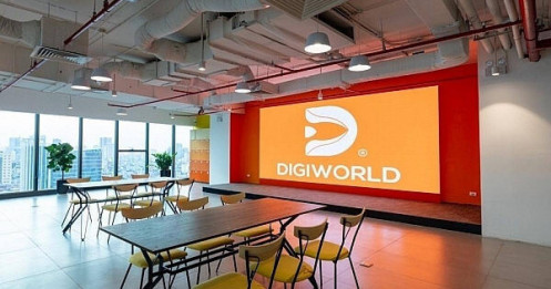 Lợi nhuận bứt phá 167%, Digiworld chi hàng trăm tỷ đồng thưởng cổ đông