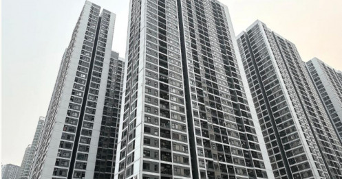 Sóng thoát hàng chung cư sắp bàn giao