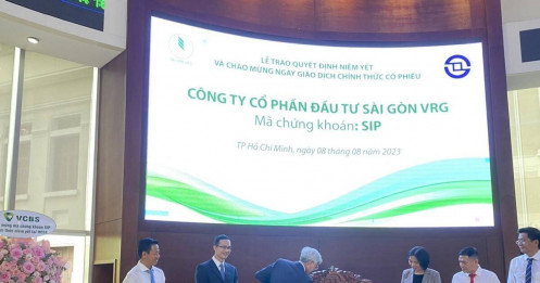 SIP: P/E 8,6 lần có thực sự rẻ?