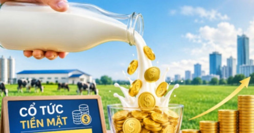 “Dòng sữa” cổ tức dồi dào từ doanh nghiệp sữa Việt