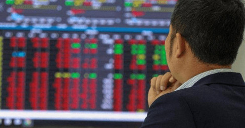 Quỹ lớn, rủi ro vẫn tập trung