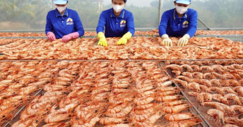 Thuế mới của Mỹ tạo thêm sức ép lên thủy sản Việt