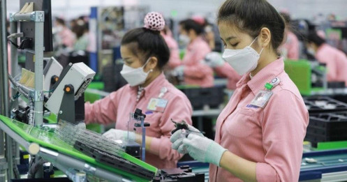 Tra cứu mức phạt vi phạm trả lương, hợp đồng lao động từ 10/9