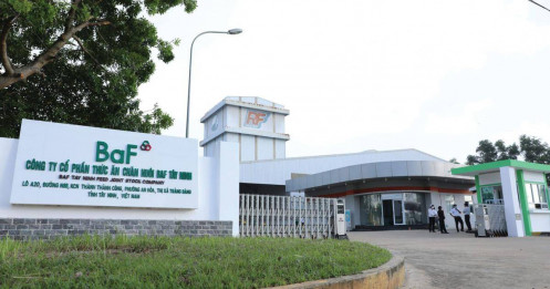 BAF tăng tốc, vốn có đủ?