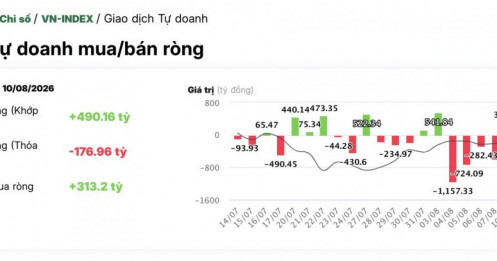Tự doanh mua ròng hơn 300 tỷ đồng, DMX vẫn bị bán mạnh