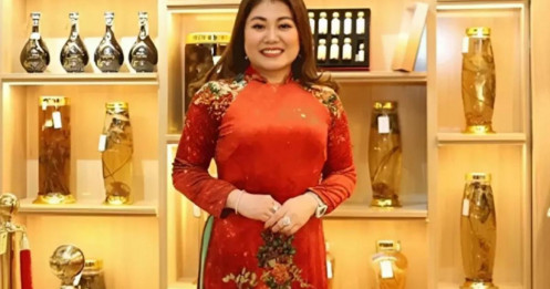 Bẫy lãi suất 48% lừa nghìn tỷ góp vốn trồng sâm Ngọc Linh