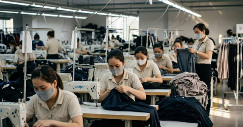 Thuế hộ kinh doanh: Vì sao giảm thuế thôi là chưa đủ?