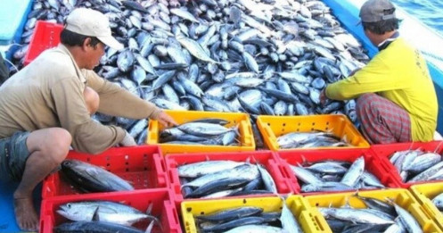 Giải điểm nghẽn giúp xuất khẩu nông sản vươn tới 100 tỷ USD