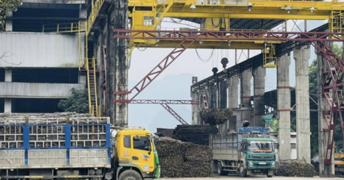 Chủ tịch Mía đường Cao Bằng bán gần nửa công ty cho Tập đoàn TH: Đằng sau thương vụ 50% vốn là gì?