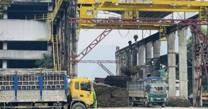 Chủ tịch Mía đường Cao Bằng bán gần nửa công ty cho Tập đoàn TH: Đằng sau thương vụ 50% vốn là gì?