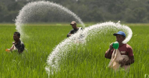 Một ngành, hai bức tranh lợi nhuận