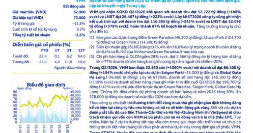 VinSpeed gọi vốn, VHM bù phần còn lại cho loạt dự án đường sắt tốc độ cao