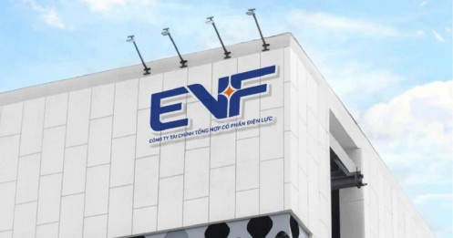 EVF chuẩn bị “bơm” thêm 850 tỷ đồng vốn