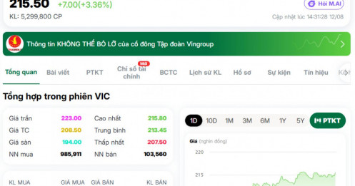 VIC kéo VN-Index, Vingroup có thêm 54.000 tỷ vốn hóa chỉ trong một ngày