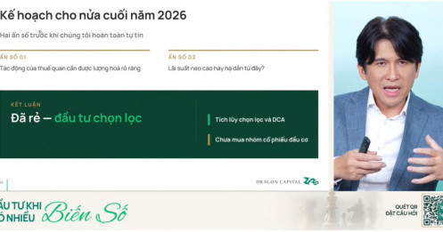 Dragon Capital nói gì giữa lúc TTCK xuất hiện nhiều “ổ gà, ổ trâu, thậm chí ổ voi”?