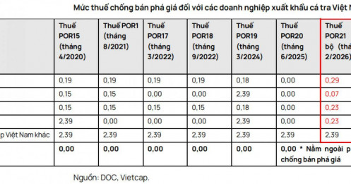 Cá tra Việt chịu cú sốc thuế Mỹ