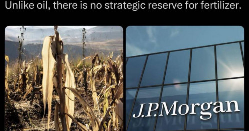 HOT: JPMorgan cảnh báo cuộc khủng hoảng lương thực toàn cầu tiếp theo có thể bùng phát vào năm tới!
