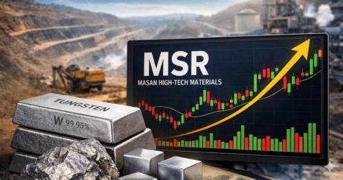 MSR - Bước vào chu kỳ tạo tiền và bảo vệ biên an toàn tài chính