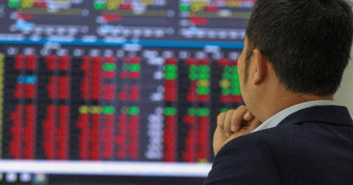 PVS, NLG: Ai đang có lợi thế?