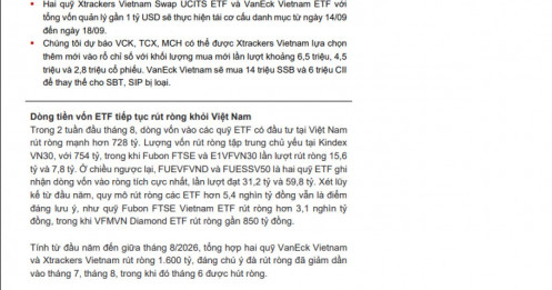 Các cá mập sẽ "săn lùng" những cổ phiếu nào trong kỳ review tháng 9?