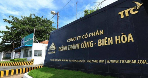 SBT: Lợi nhuận quý 4 tăng nhờ biên lãi gộp cải thiện, nhưng lợi nhuận từ hoạt động kinh doanh cốt lõi cả niên độ giảm hơn một nửa