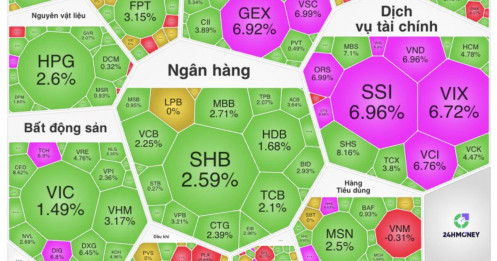 Hơn 550 mã tăng giá, VN-Index vọt gần 34 điểm: Dòng tiền đang trở lại?