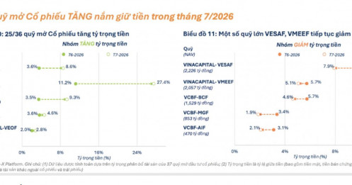 Thị trường cạn thanh khoản vì 25 “cá mập” đồng loạt ôm tiền phòng thủ