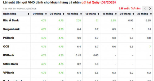 Vì sao ngân hàng đua nhau trả lãi suất trên 9%/năm?
