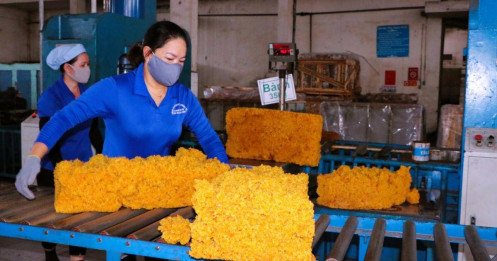 PHR chốt quyền cổ tức và cổ phiếu thưởng, thị trường chú ý diễn biến quanh giới hạn sở hữu nước ngoài