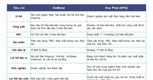 1 quyết định mới của VINGroup đang giúp HPG hưởng lợi