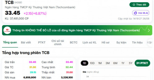 TCB tăng kịch trần sau tin deal 2 tỷ USD: Dòng tiền nhận thấy điều gì?