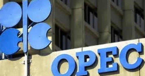 Venezuela cân nhắc rời OPEC
