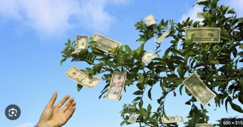 Tuần tới: Loạt doanh nghiệp chốt quyền, cổ đông “hốt” cổ tức tiền mặt lẫn cổ phiếu