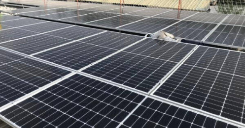 Lắp điện mặt trời giúp người Anh tiết kiệm đến 800 USD mỗi năm