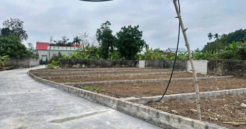 Đất nền vùng ven vỡ mộng "lướt sóng"