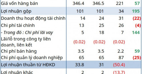 Gilimex thoát lỗ 6 tháng 2026, lãi ròng tăng nhẹ sau soát xét, BCTC nhận ý kiến ngoại trừ vì vụ kiện Amazon